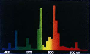 Bild 10: Leuchtstofflampenlicht, Lichtfarbe 41, Lumilux Interna
